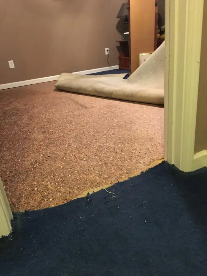 Carpet pad removal revealing water damage during Water Mitigation Services in Rockton