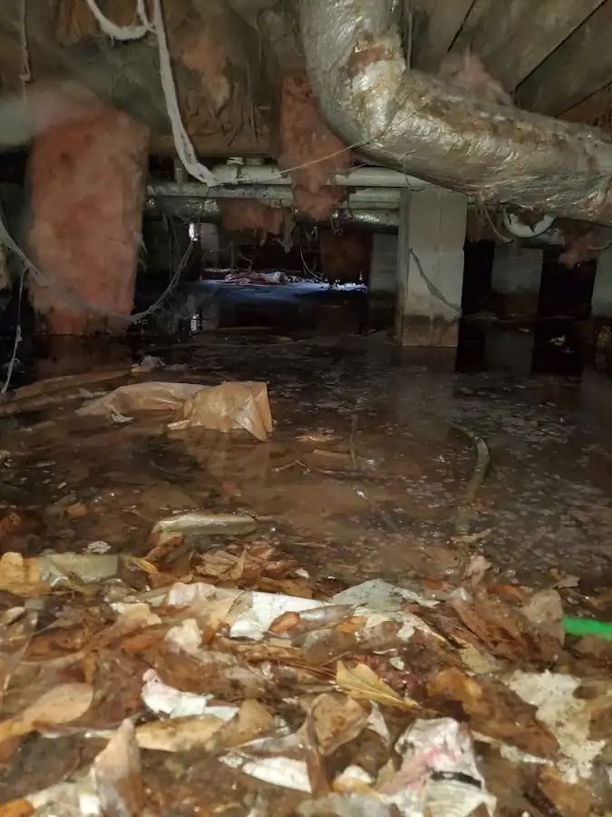 Crawl space flood assessment for Commercial Water Damage Restoration in Rockton